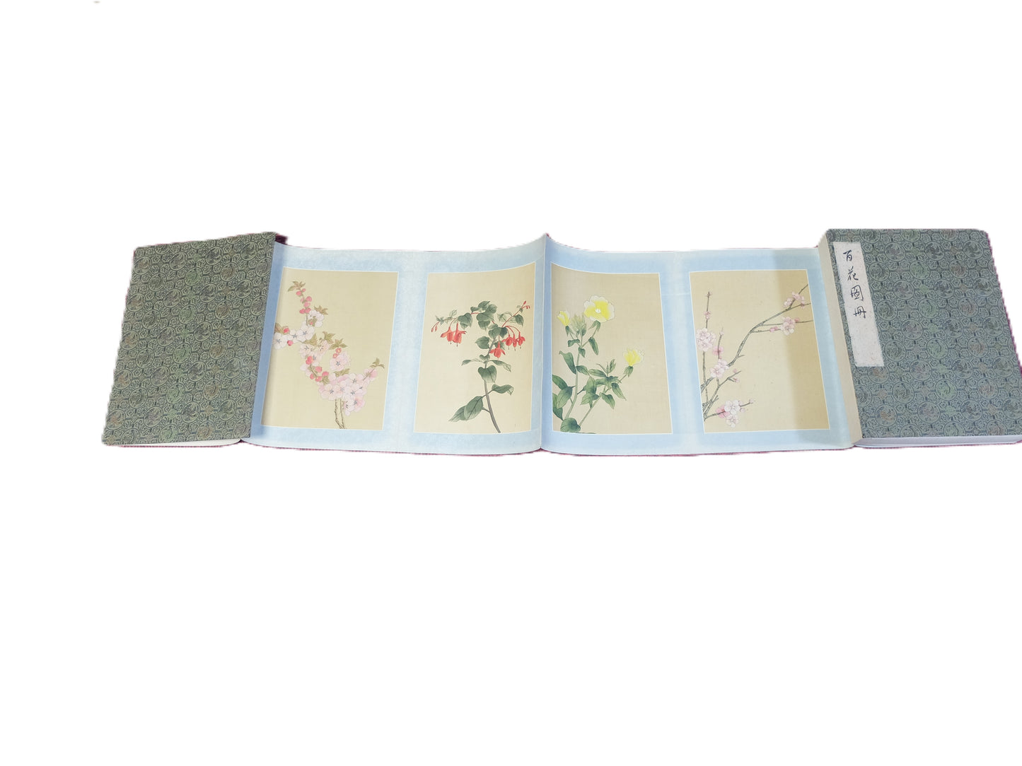 Botanical paintings, ink on silk, 100 files