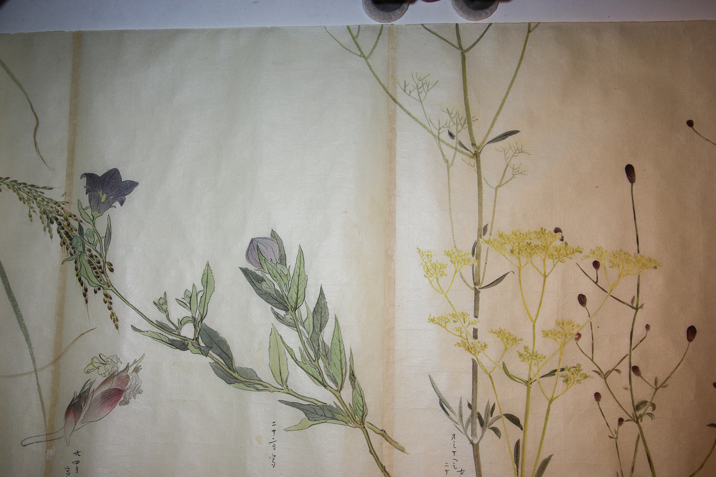 Emakimono 絵巻物 scroll, Matsutarō Sugino (杉野松太郎), born in 1878, scroll, 40! x 1250 cm