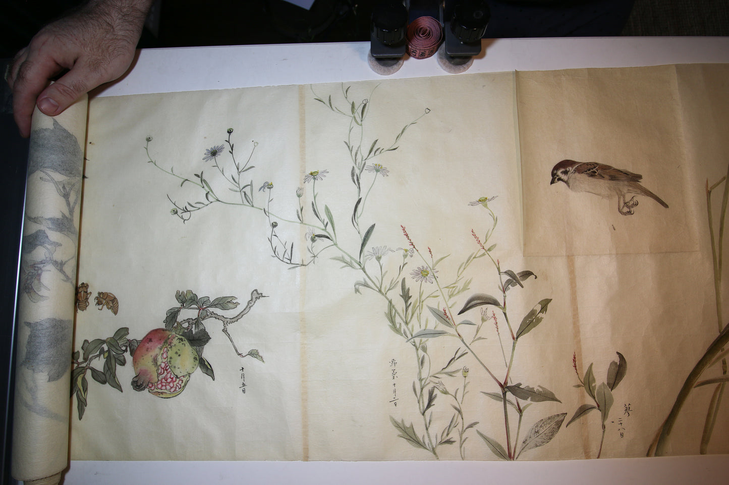 Emakimono 絵巻物 scroll, Matsutarō Sugino (杉野松太郎), born in 1878, scroll, 40! x 1250 cm