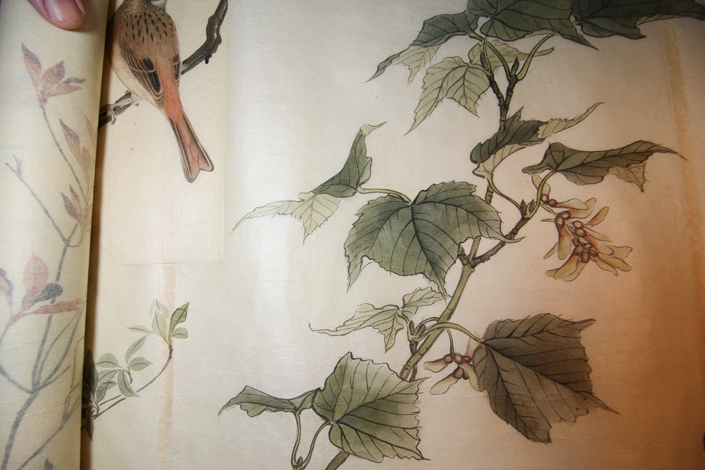 Emakimono 絵巻物 scroll, Matsutarō Sugino (杉野松太郎), born in 1878, scroll, 40! x 1250 cm