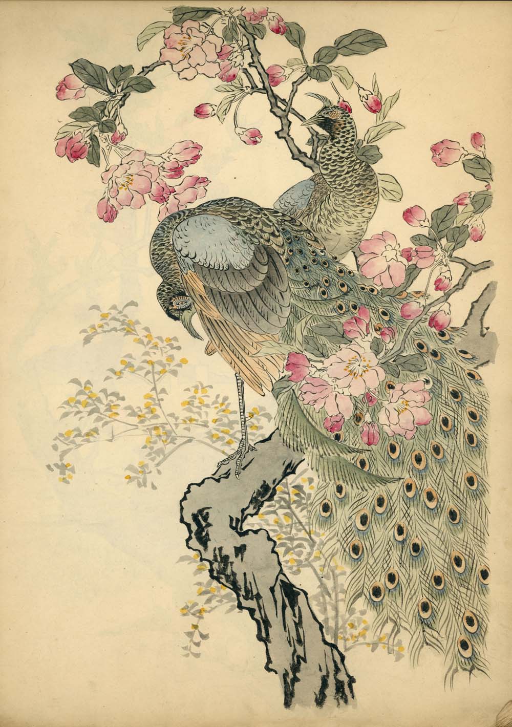 Bairei kachō gafu 梅嶺花鳥画譜 - Kōno Bairei 幸野 楳嶺 1844