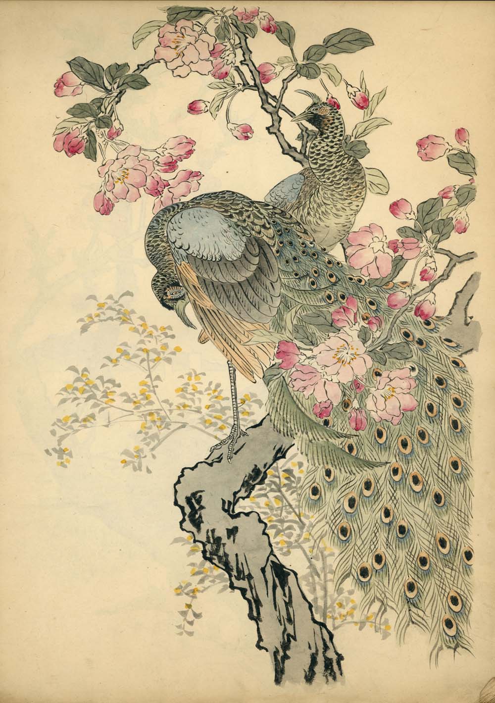 Bairei kachō gafu 梅嶺花鳥画譜 - Kōno Bairei 幸野 楳嶺 1844 – 1895 - 50 designs