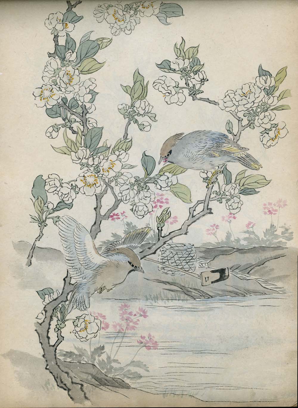 Bairei kachō gafu 梅嶺花鳥画譜 - Kōno Bairei 幸野 楳嶺 1844 – 1895 - 50 designs