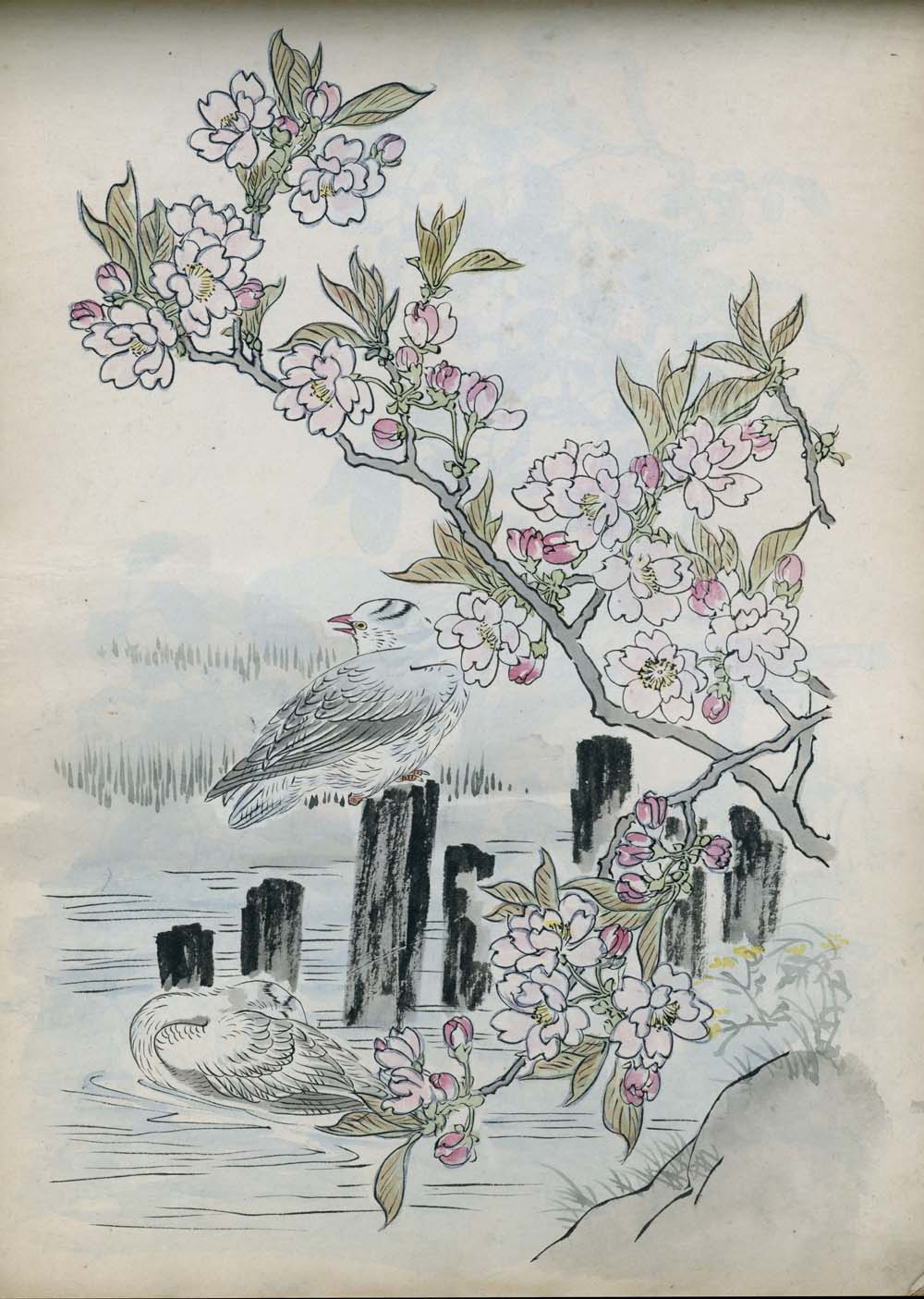 Bairei kachō gafu 梅嶺花鳥画譜 - Kōno Bairei 幸野 楳嶺 1844 – 1895 - 50 designs