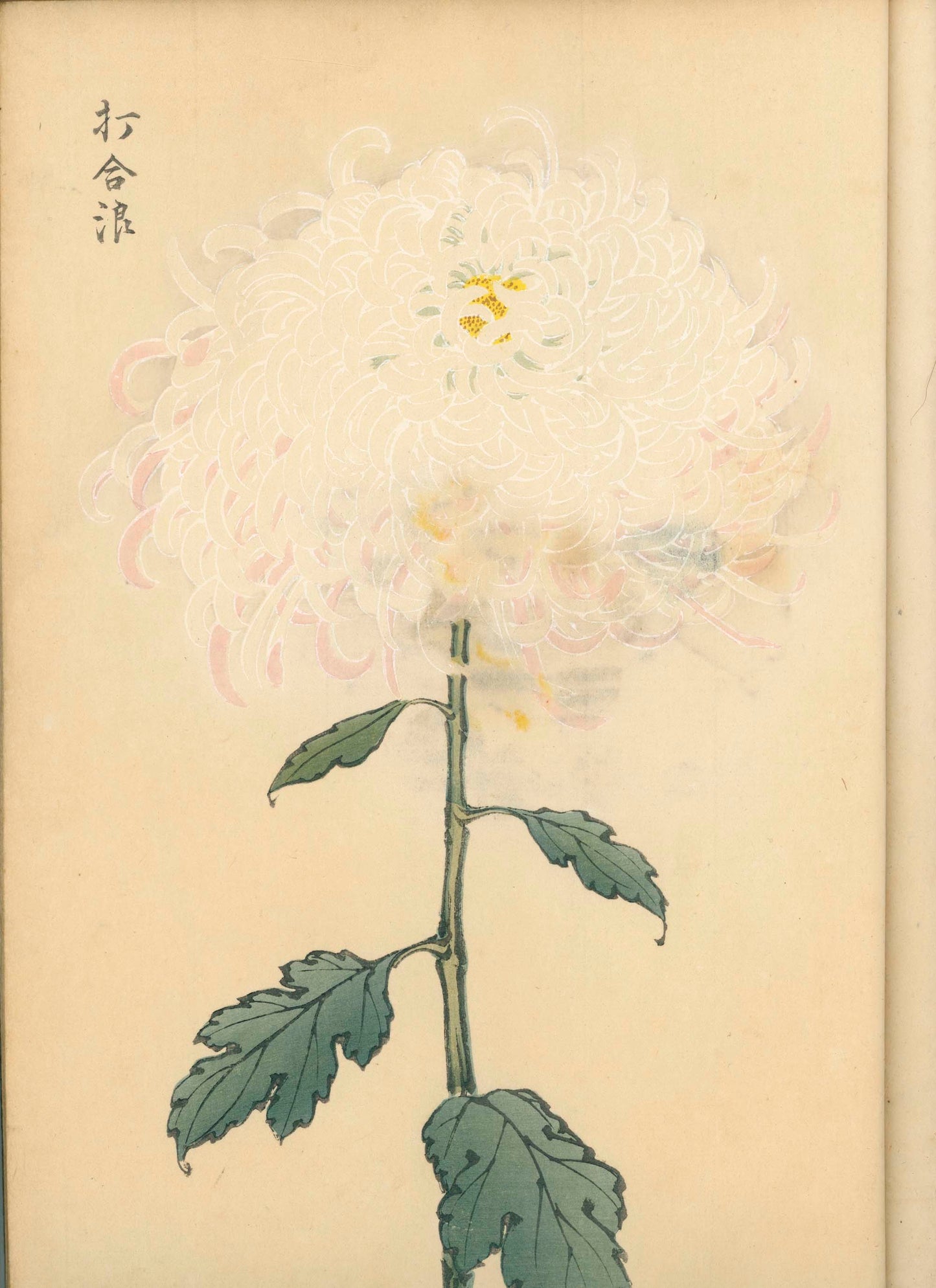 契花百菊 (Keika Hyakkiku) Volumes 1 & 2, 長谷川契華 (Keika Hasegawa) 1893 / 明治26