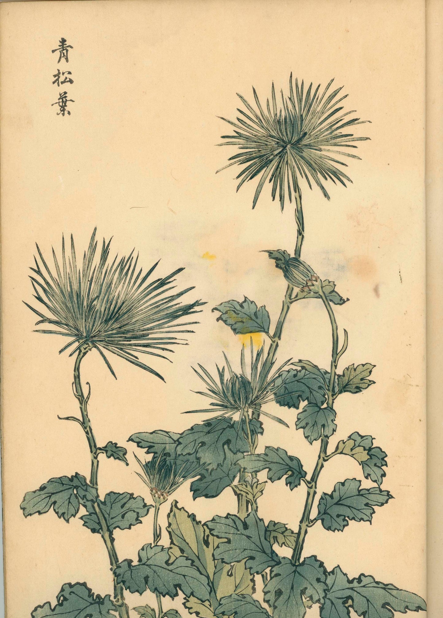 契花百菊 (Keika Hyakkiku) Volumes 1 & 2, 長谷川契華 (Keika Hasegawa) 1893 / 明治26