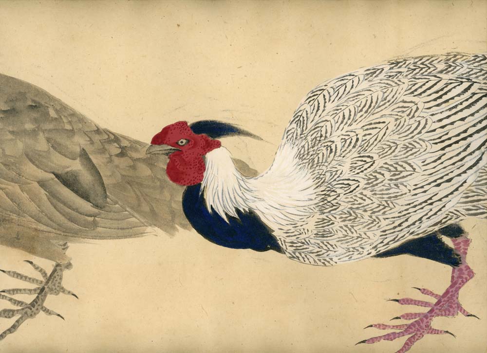 若林秀岳 Wakabayashi Shuugaku scroll, 29×980㎝ / Wada Ittotsu (和田一徳) 28 x 580 cm