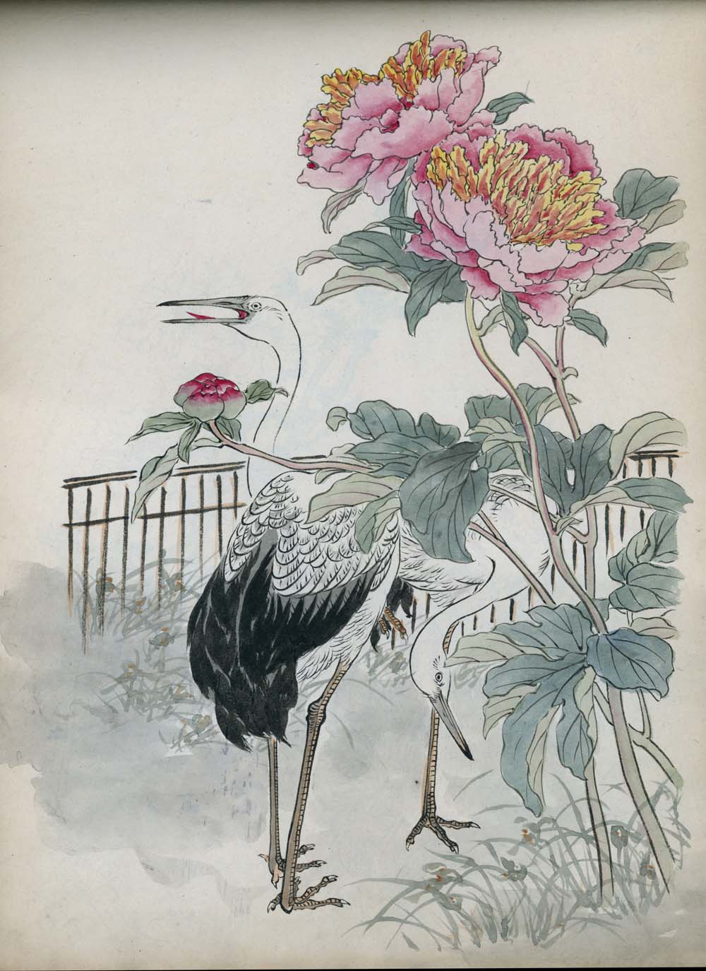 Bairei kachō gafu 梅嶺花鳥画譜 - Kōno Bairei 幸野 楳嶺 1844 – 1895 - 50 designs