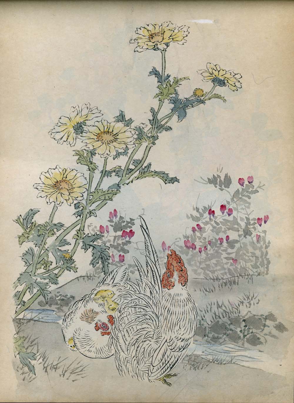 Bairei kachō gafu 梅嶺花鳥画譜 - Kōno Bairei 幸野 楳嶺 1844 – 1895 - 50 designs