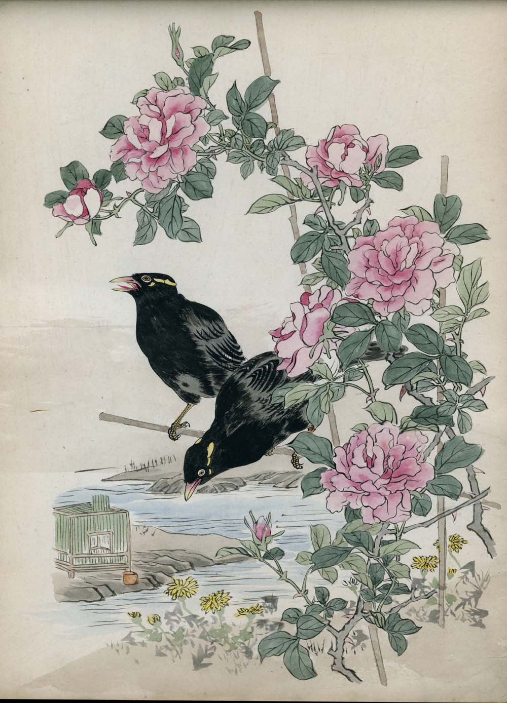 Bairei kachō gafu 梅嶺花鳥画譜 - Kōno Bairei 幸野 楳嶺 1844 – 1895 - 50 designs