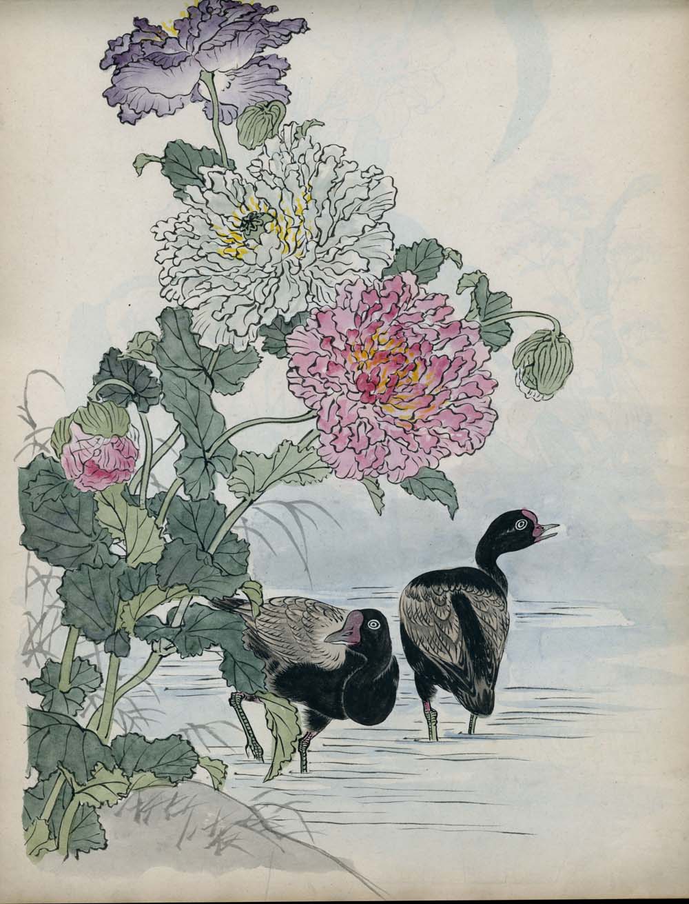 Bairei kachō gafu 梅嶺花鳥画譜 - Kōno Bairei 幸野 楳嶺 1844 – 1895 - 50 designs