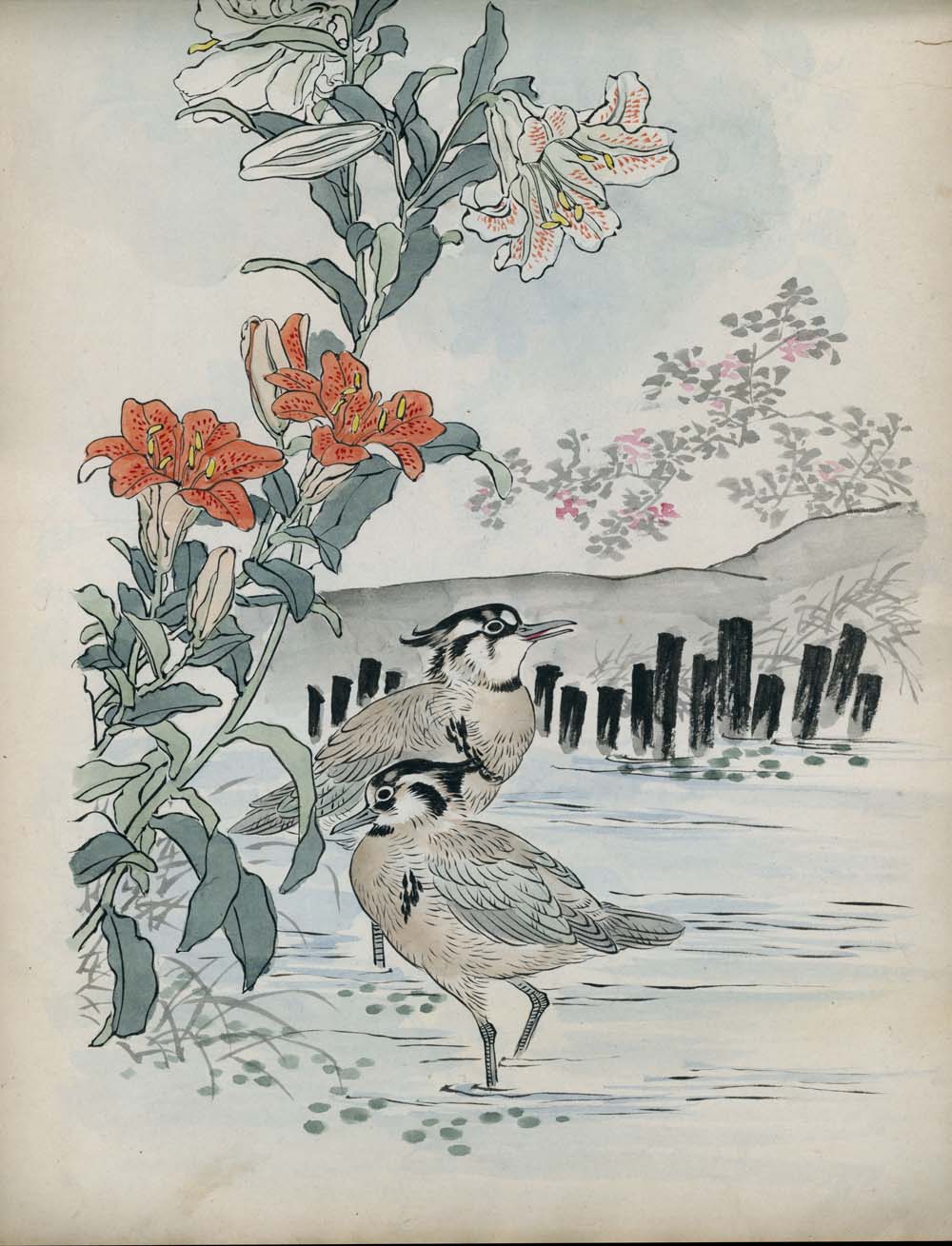 Bairei kachō gafu 梅嶺花鳥画譜 - Kōno Bairei 幸野 楳嶺 1844 – 1895 - 50 designs