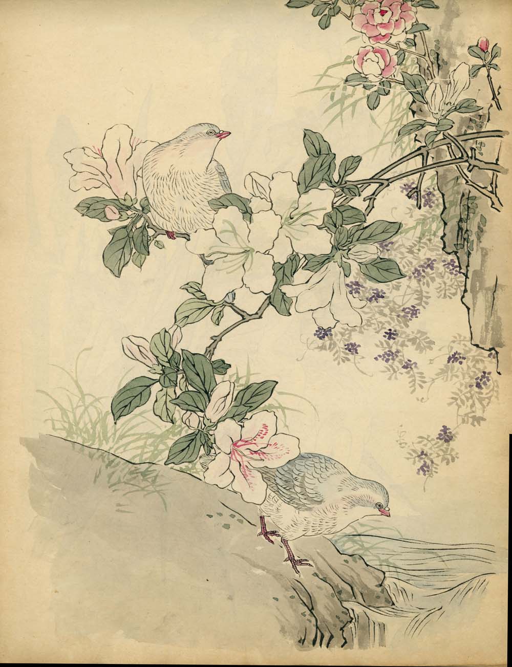 Bairei kachō gafu 梅嶺花鳥画譜 - Kōno Bairei 幸野 楳嶺 1844 – 1895 - 50 designs