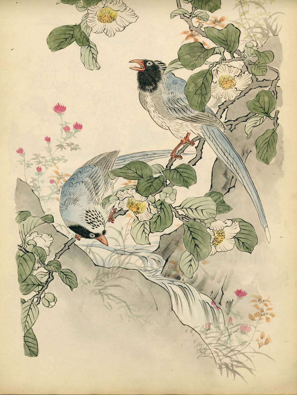 Bairei kachō gafu 梅嶺花鳥画譜 - Kōno Bairei 幸野 楳嶺 1844 – 1895 - 50 designs