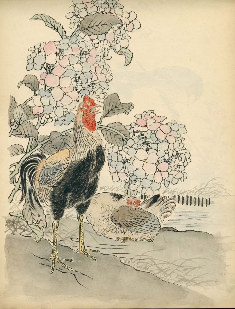 Bairei kachō gafu 梅嶺花鳥画譜 - Kōno Bairei 幸野 楳嶺 1844 – 1895 - 50 designs