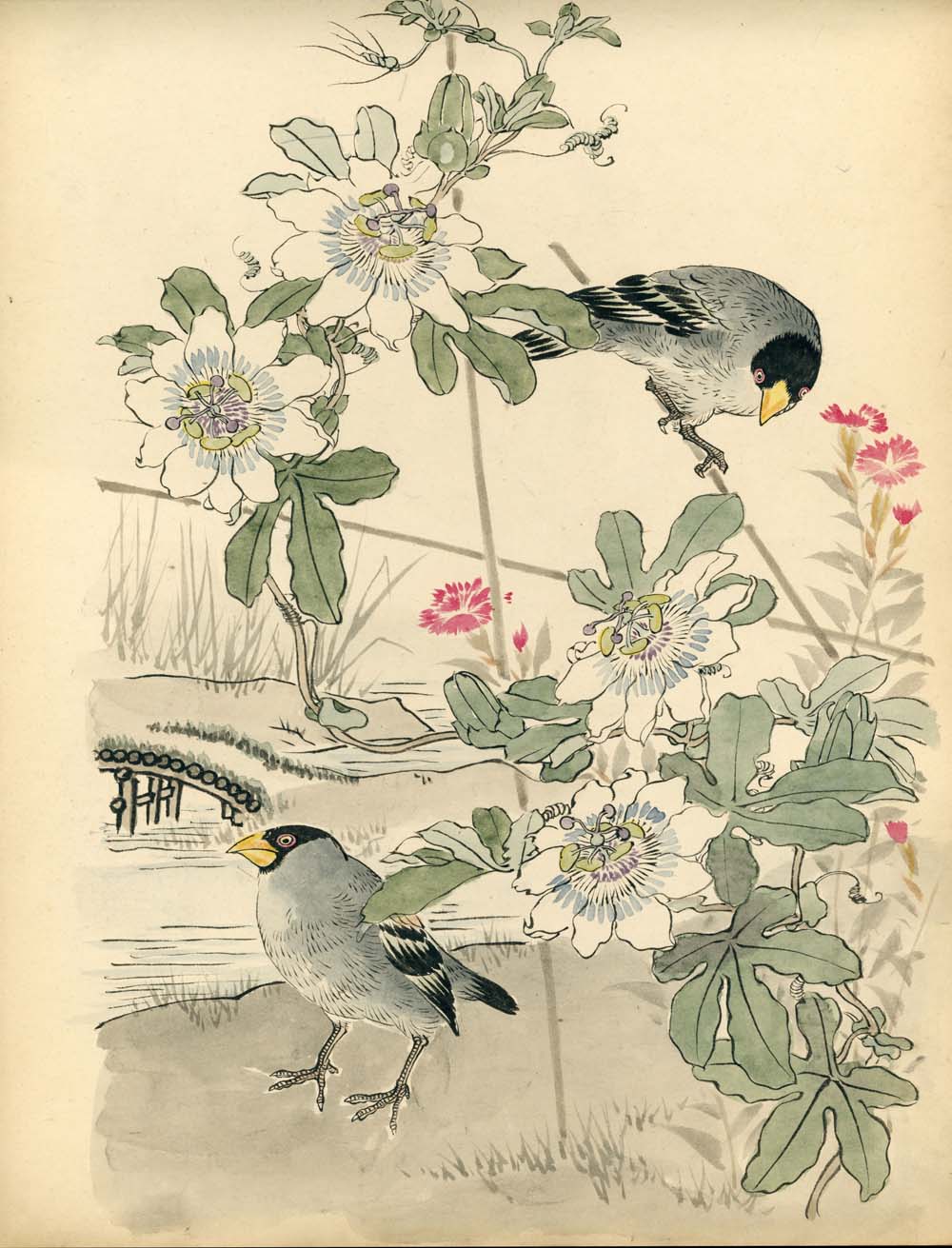 Bairei kachō gafu 梅嶺花鳥画譜 - Kōno Bairei 幸野 楳嶺 1844 – 1895 - 50 designs