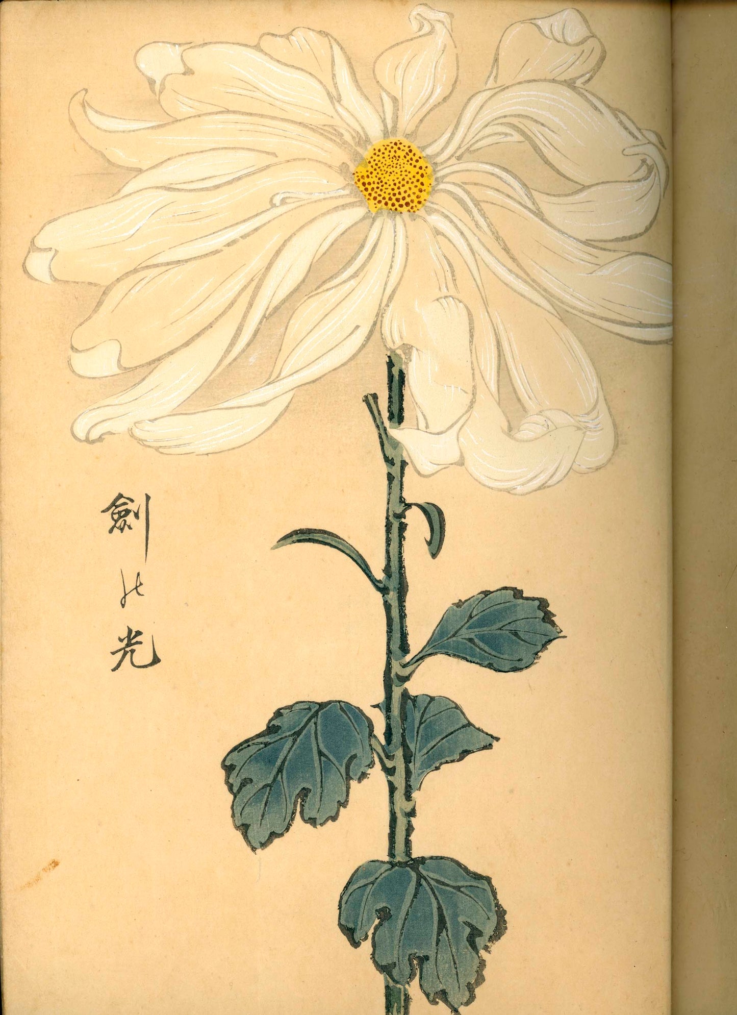 契花百菊 (Keika Hyakkiku) Volumes 1 & 2, 長谷川契華 (Keika Hasegawa) 1893 / 明治26