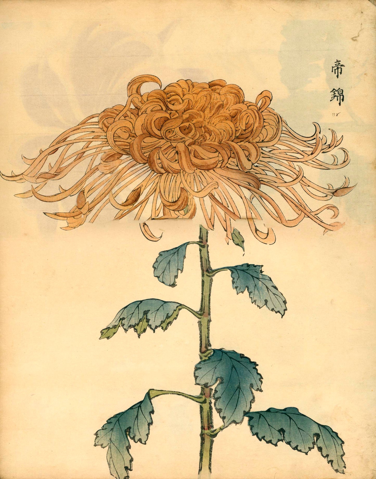 契花百菊 (Keika Hyakkiku) Volumes 1 & 2, 長谷川契華 (Keika Hasegawa) 1893 / 明治26