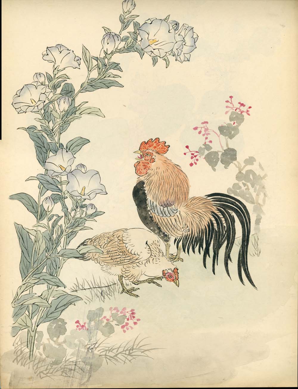 Bairei kachō gafu 梅嶺花鳥画譜 - Kōno Bairei 幸野 楳嶺 1844 – 1895 - 50 designs