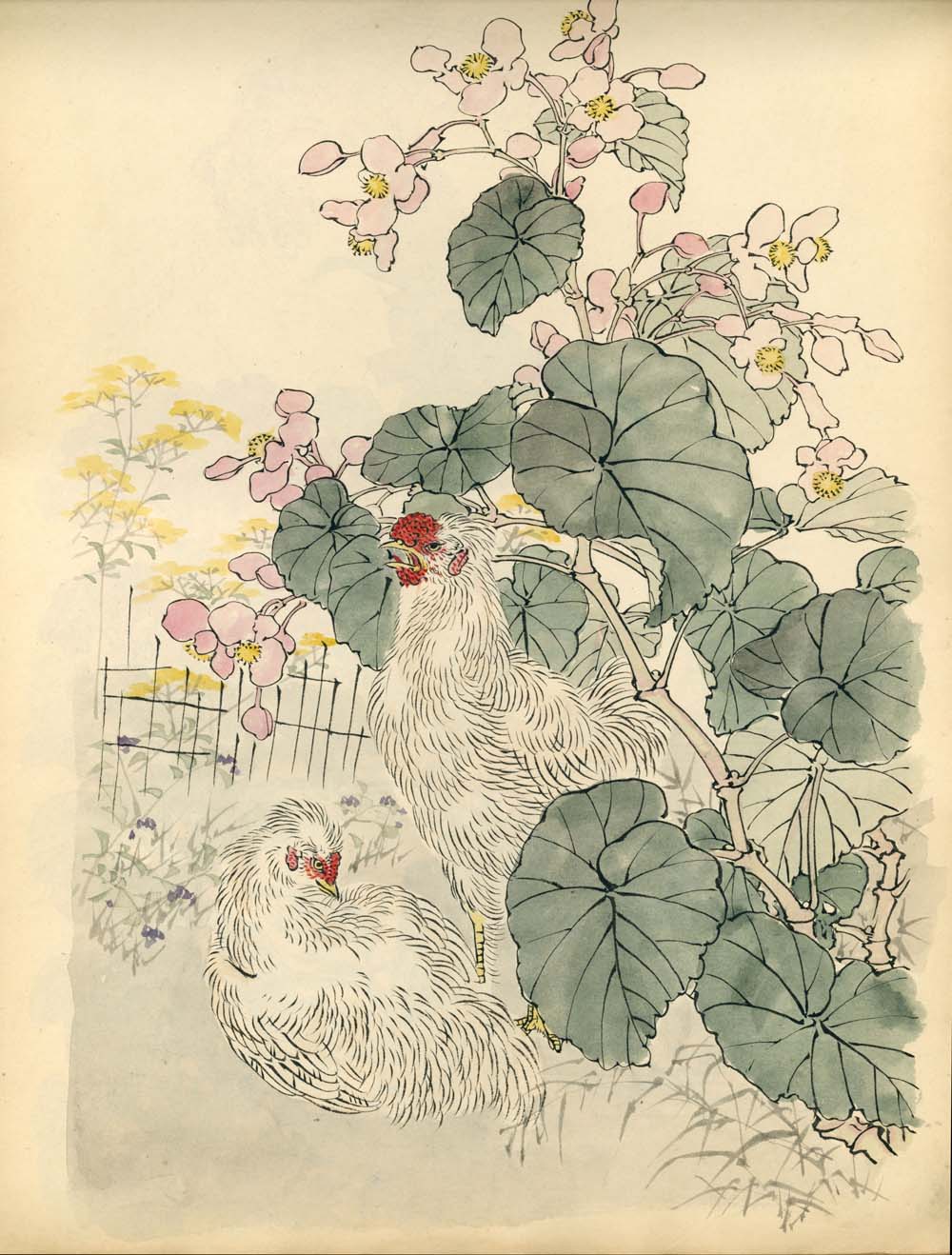 Bairei kachō gafu 梅嶺花鳥画譜 - Kōno Bairei 幸野 楳嶺 1844 – 1895 - 50 designs