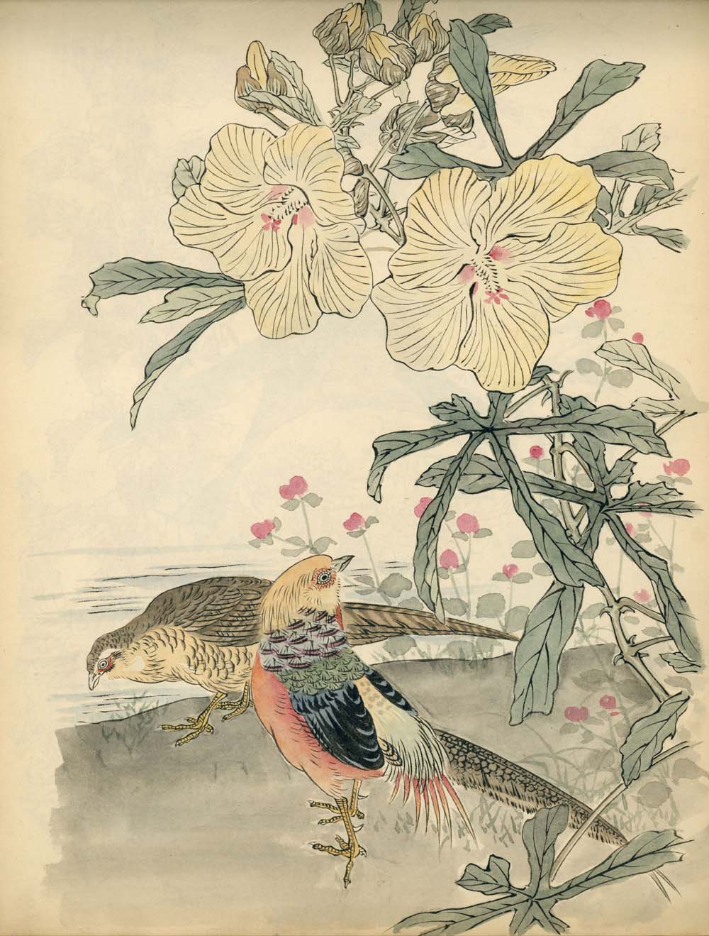 Bairei kachō gafu 梅嶺花鳥画譜 - Kōno Bairei 幸野 楳嶺 1844 – 1895 - 50 designs