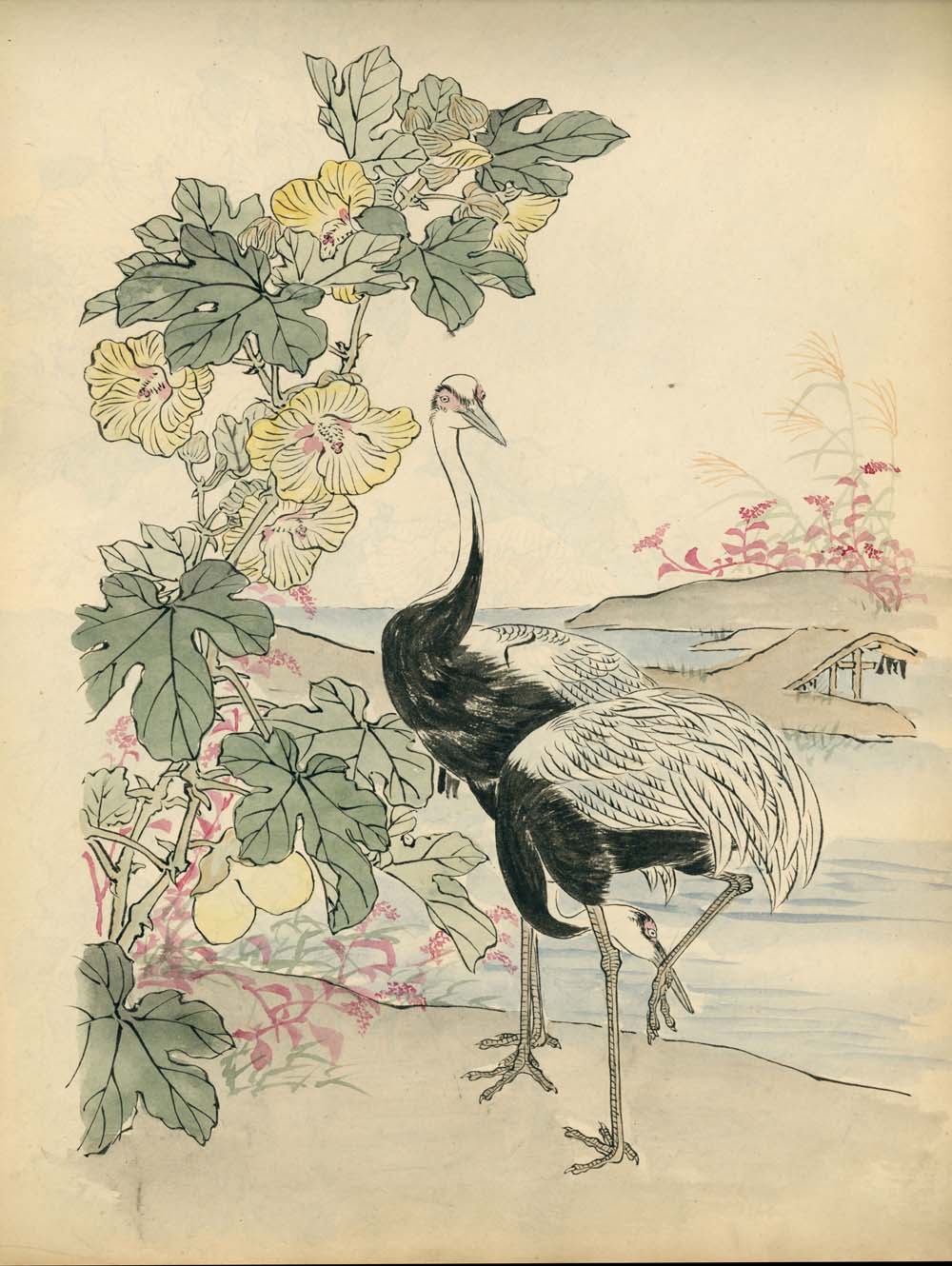 Bairei kachō gafu 梅嶺花鳥画譜 - Kōno Bairei 幸野 楳嶺 1844 – 1895 - 50 designs