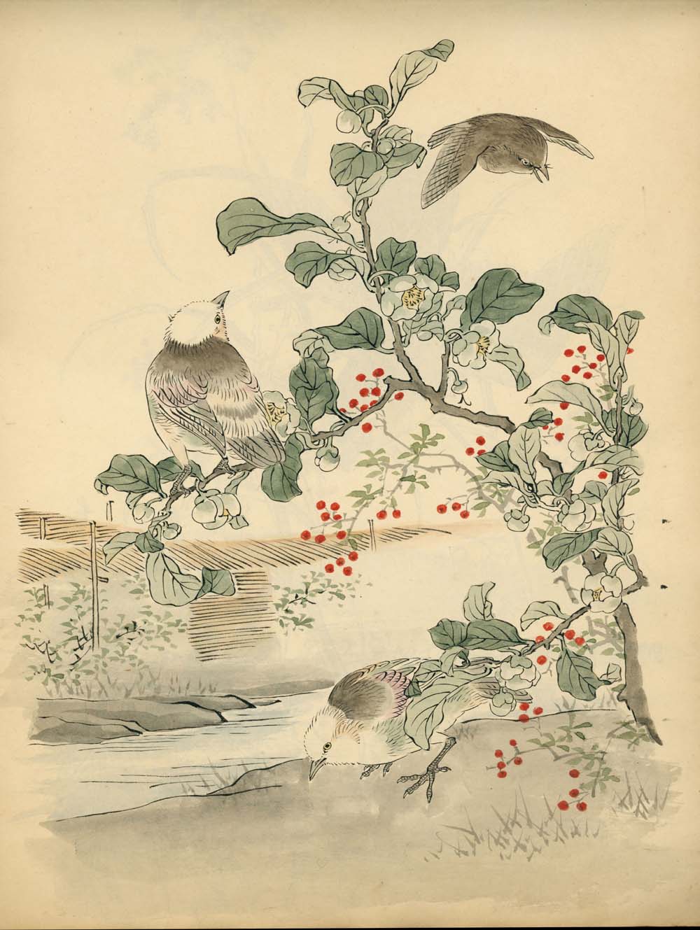 Bairei kachō gafu 梅嶺花鳥画譜 - Kōno Bairei 幸野 楳嶺 1844 – 1895 - 50 designs