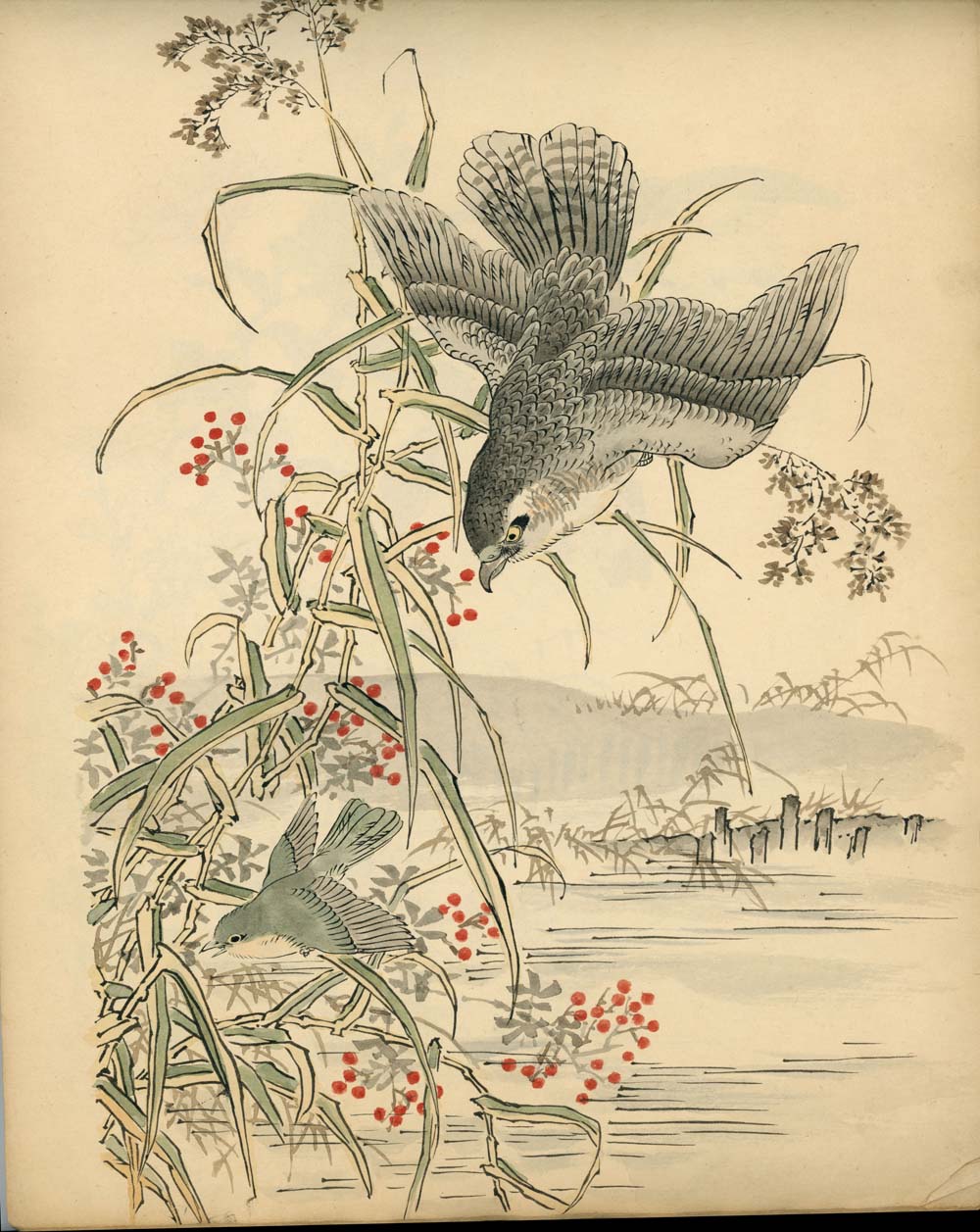 Bairei kachō gafu 梅嶺花鳥画譜 - Kōno Bairei 幸野 楳嶺 1844 – 1895 - 50 designs