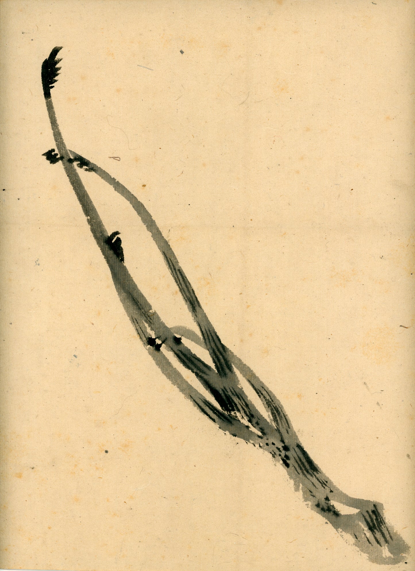 Matsukichi Shōkei (松吉樵渓) ?-1870, long emakimono  "Collection of Painting Models by the Late Master Shōkei Matsukichi"