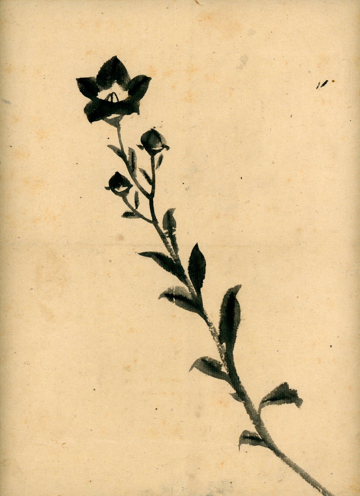 Matsukichi Shōkei (松吉樵渓) ?-1870, long emakimono  "Collection of Painting Models by the Late Master Shōkei Matsukichi"