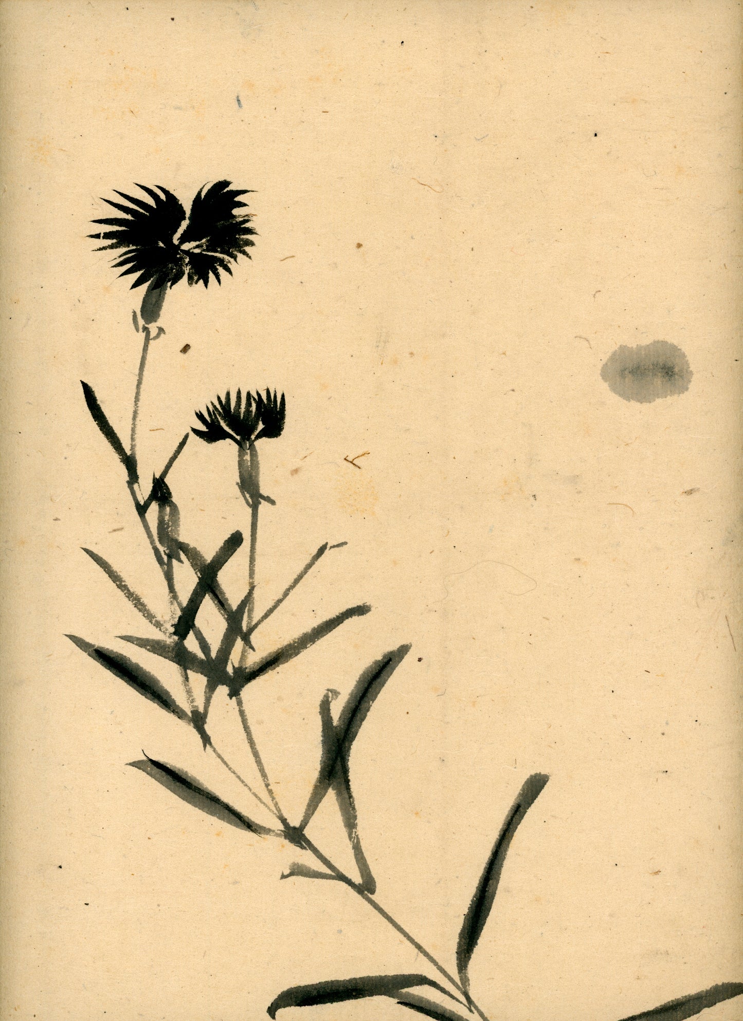 Matsukichi Shōkei (松吉樵渓) ?-1870, long emakimono  "Collection of Painting Models by the Late Master Shōkei Matsukichi"