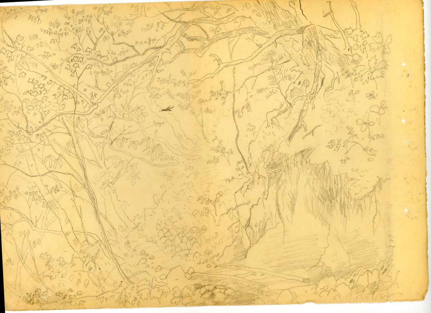 A painter's archive