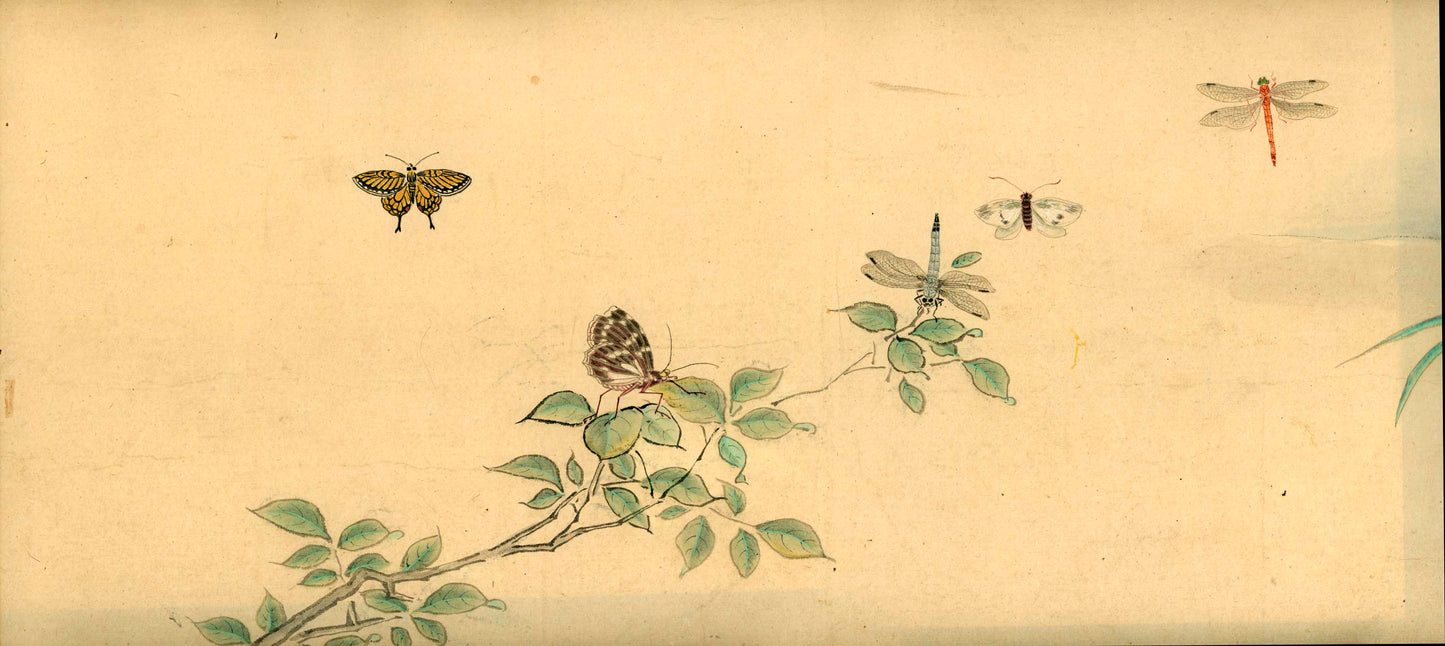 Emakimono scroll 絵巻物 虫と鳥影 Mushi to choei - Insects and shadows of birds - Unknown, after Taki Katei (瀧和亭 1830 – 1901)