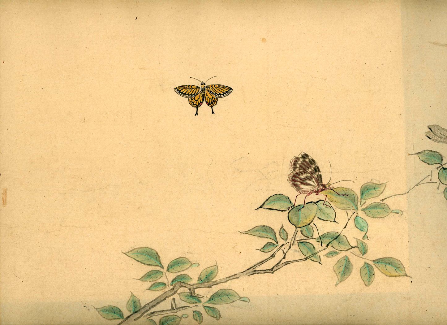 Emakimono scroll 絵巻物 虫と鳥影 Mushi to choei - Insects and shadows of birds - Unknown, after Taki Katei (瀧和亭 1830 – 1901)