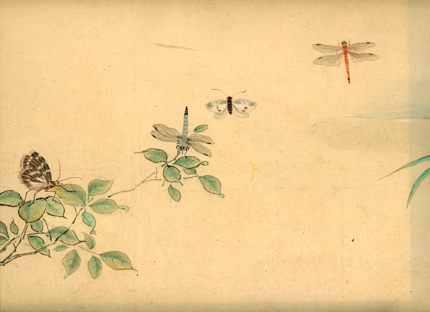 Emakimono scroll 絵巻物 虫と鳥影 Mushi to choei - Insects and shadows of birds - Unknown, after Taki Katei (瀧和亭 1830 – 1901)