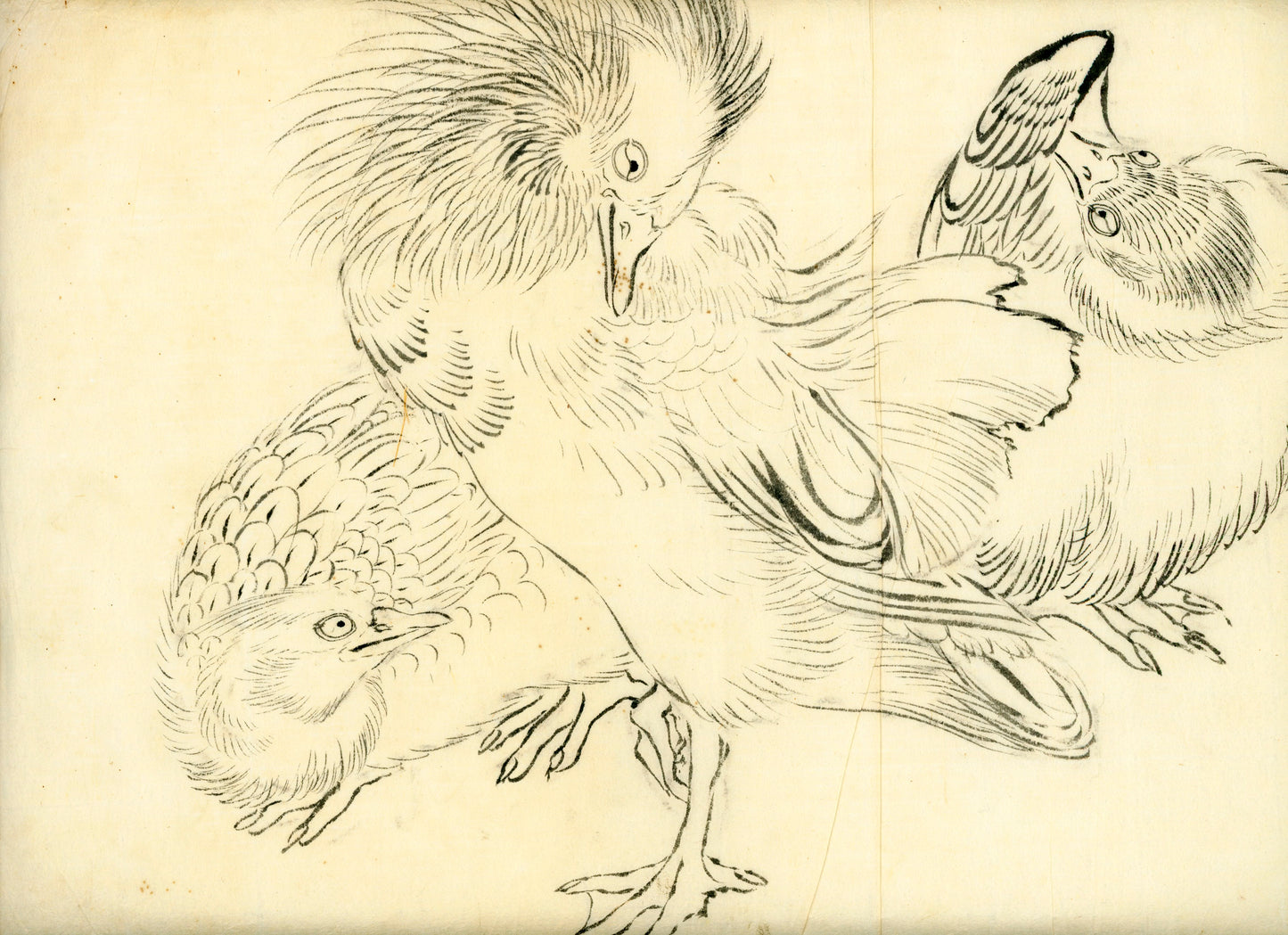 2 emakimono scrolls 花鳥畫 / 4 kakejiku scrolls  Goto Shugai 1886-? 後藤秋崖