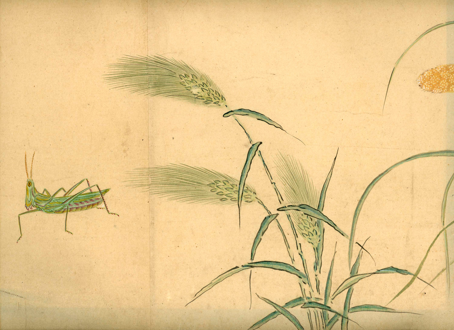 Emakimono scroll 絵巻物 虫と鳥影 Mushi to choei - Insects and shadows of birds - Unknown, after Taki Katei (瀧和亭 1830 – 1901)