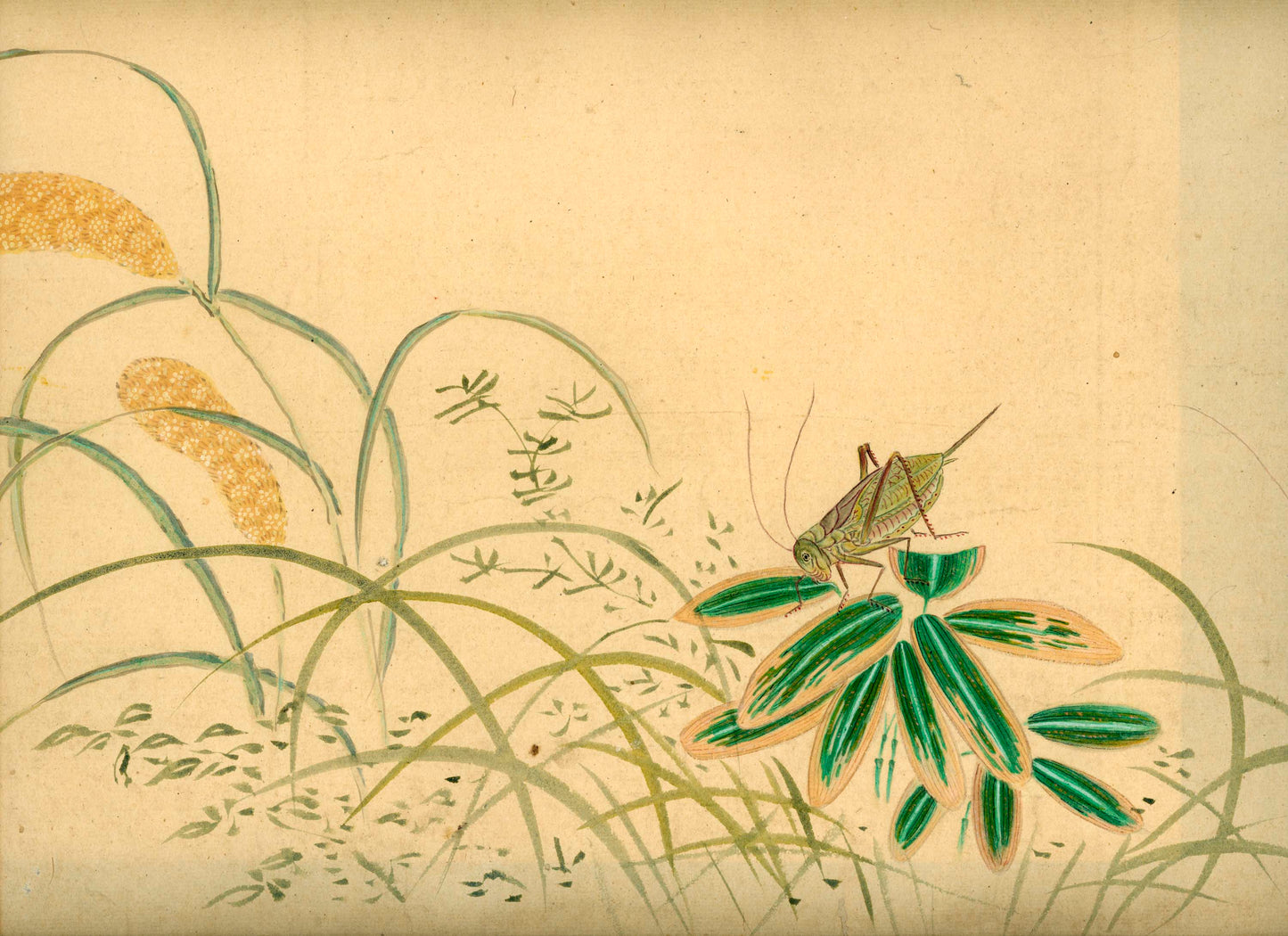 Emakimono scroll 絵巻物 虫と鳥影 Mushi to choei - Insects and shadows of birds - Unknown, after Taki Katei (瀧和亭 1830 – 1901)