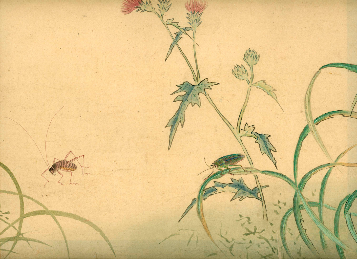 Emakimono scroll 絵巻物 虫と鳥影 Mushi to choei - Insects and shadows of birds - Unknown, after Taki Katei (瀧和亭 1830 – 1901)