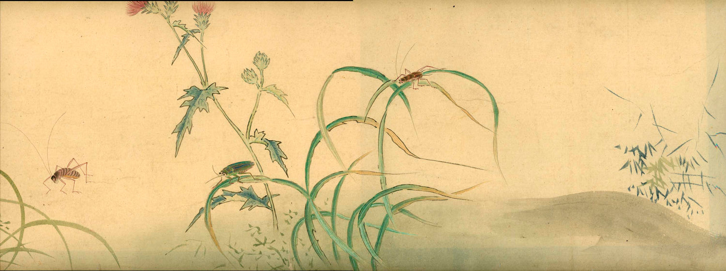 Emakimono scroll 絵巻物 虫と鳥影 Mushi to choei - Insects and shadows of birds - Unknown, after Taki Katei (瀧和亭 1830 – 1901)