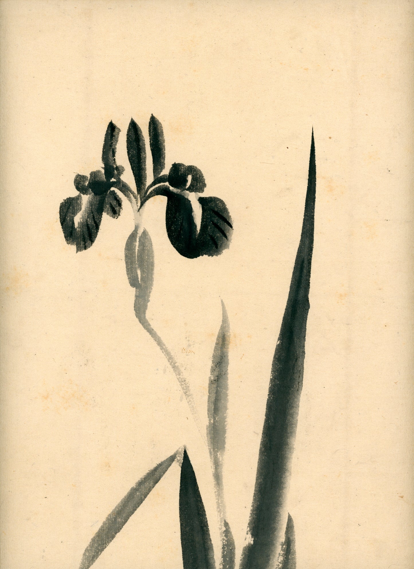 Matsukichi Shōkei (松吉樵渓) ?-1870, long emakimono  "Collection of Painting Models by the Late Master Shōkei Matsukichi"