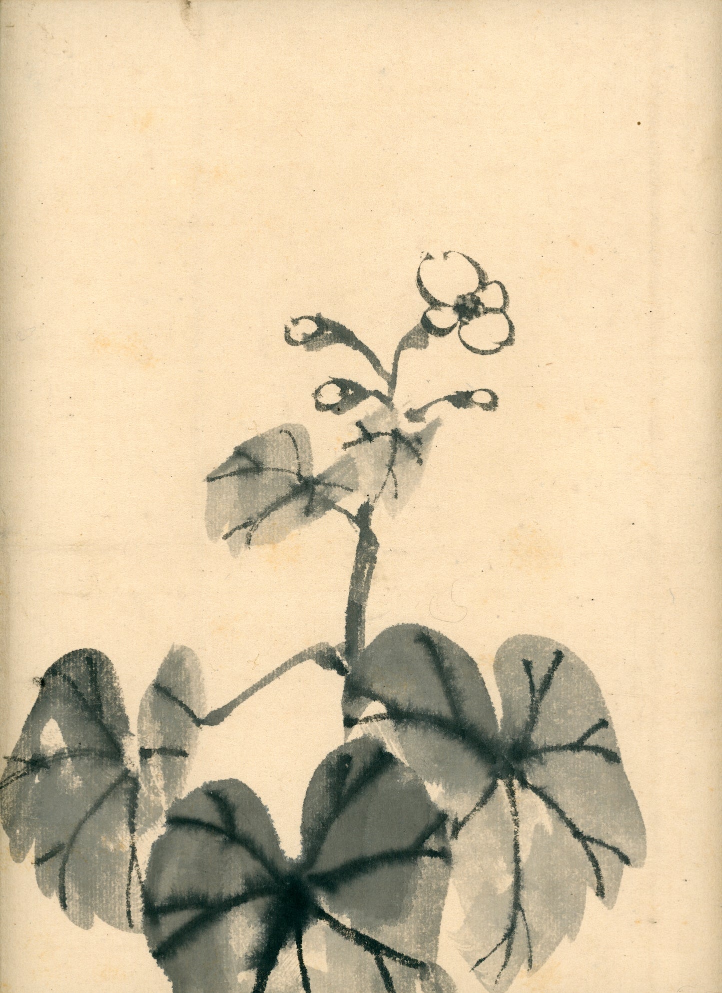 Matsukichi Shōkei (松吉樵渓) ?-1870, long emakimono  "Collection of Painting Models by the Late Master Shōkei Matsukichi"