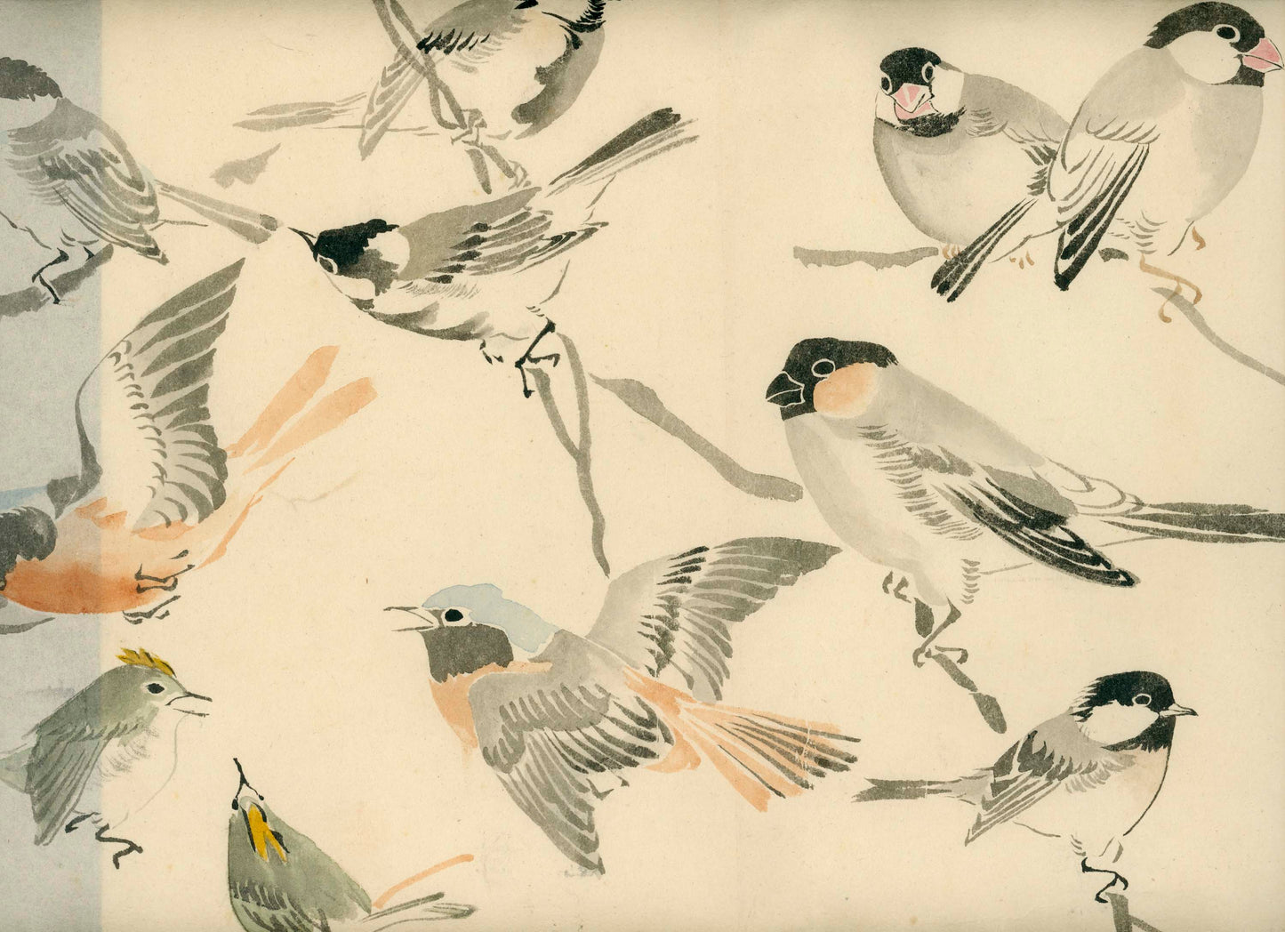 Emakimono - Birds, Sato Tempu scroll, 26 x 520 cm, sealed and signed