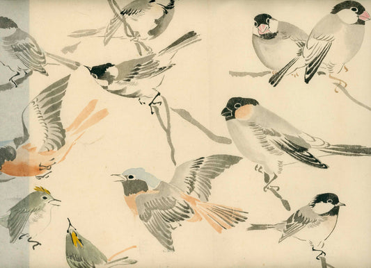 Emakimono - Birds, Sato Tempu scroll, 26 x 520 cm, sealed and signed