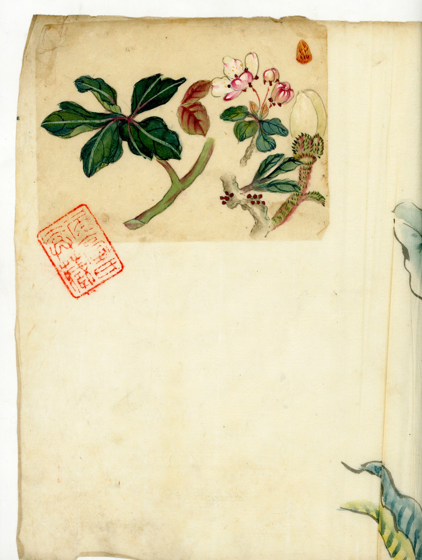 2 emakimono scrolls 花鳥畫 / 4 kakejiku scrolls  Goto Shugai 1886-? 後藤秋崖