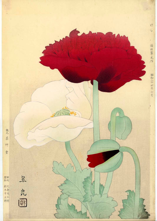 Poppy flower けし Keshi - 1949 / Fukuda Suiko 福田翠光 (1895-1973)