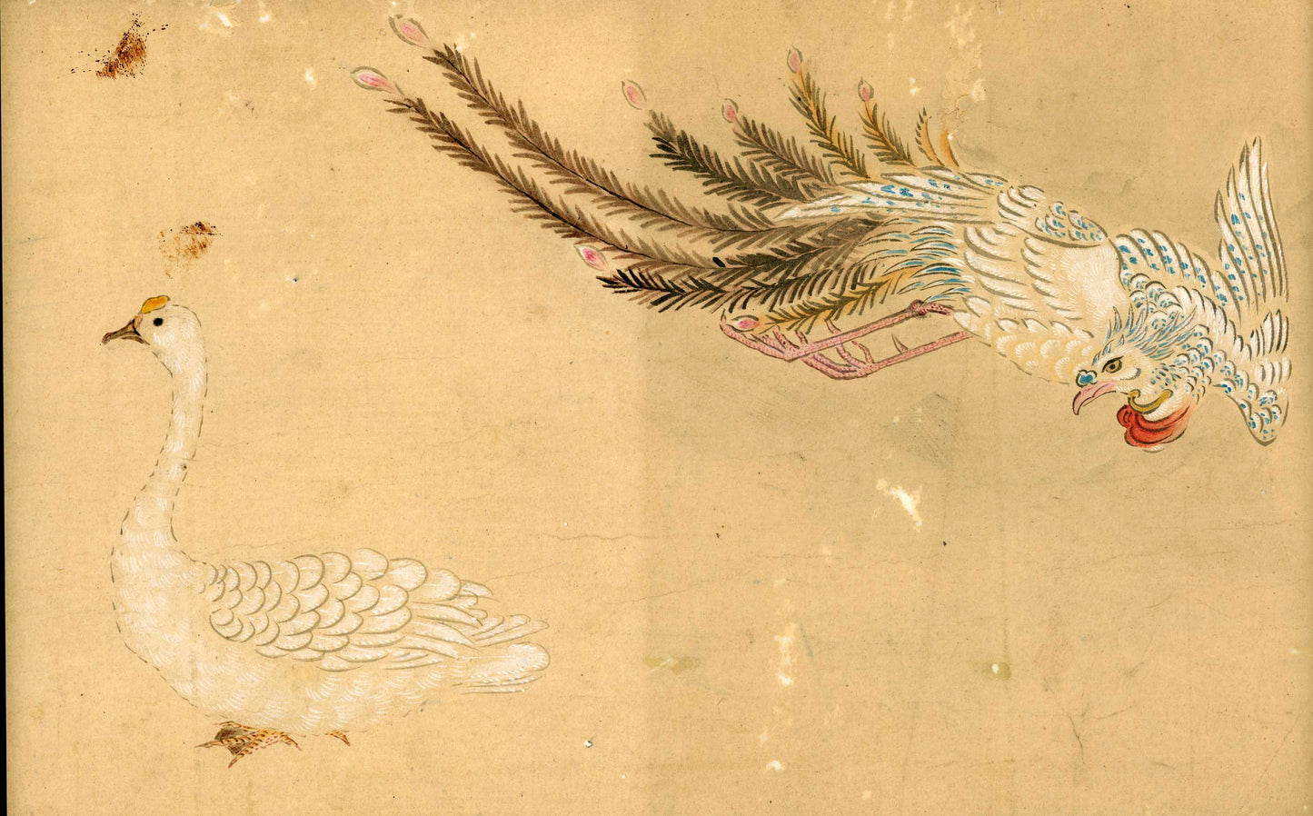 Emakimono scroll 絵巻物 虫と鳥影 Mushi to choei - Insects and shadows of birds - Unknown, after Taki Katei (瀧和亭 1830 – 1901)