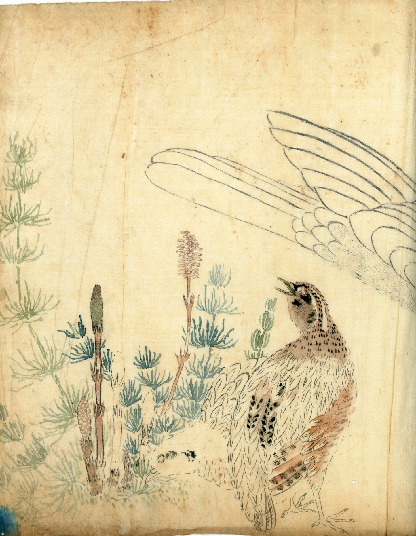 2 emakimono scrolls 花鳥畫 / 4 kakejiku scrolls  Goto Shugai 1886-? 後藤秋崖