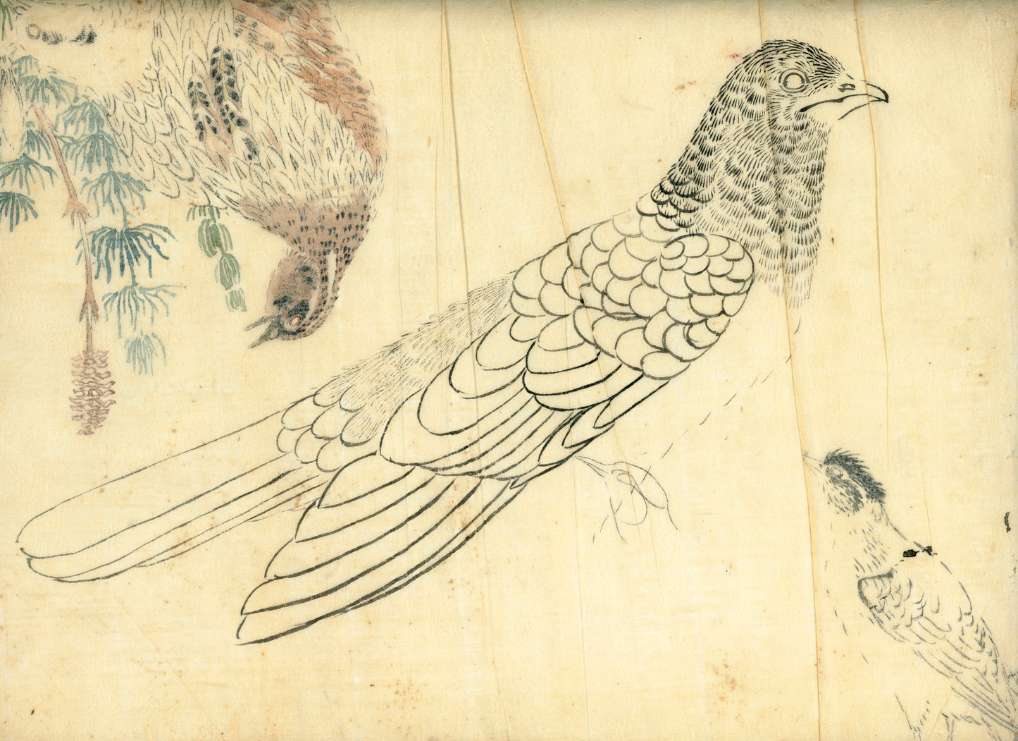 2 emakimono scrolls 花鳥畫 / 4 kakejiku scrolls  Goto Shugai 1886-? 後藤秋崖