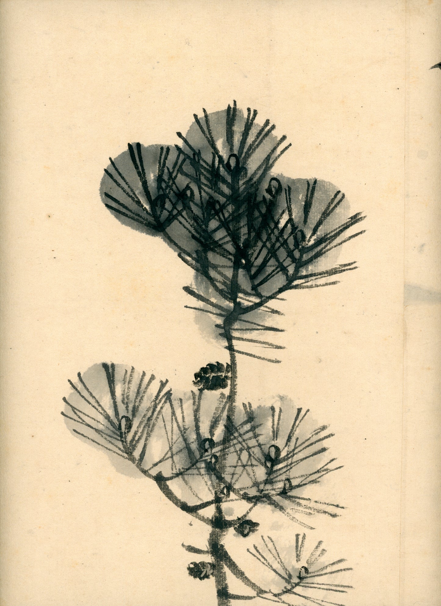 Matsukichi Shōkei (松吉樵渓) ?-1870, long emakimono  "Collection of Painting Models by the Late Master Shōkei Matsukichi"